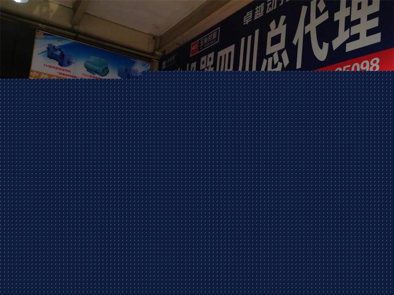 威明斯柴油發(fā)電機(jī)門(mén)店展示